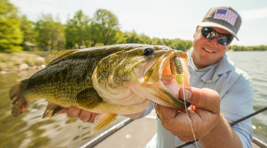 Summer Fishing